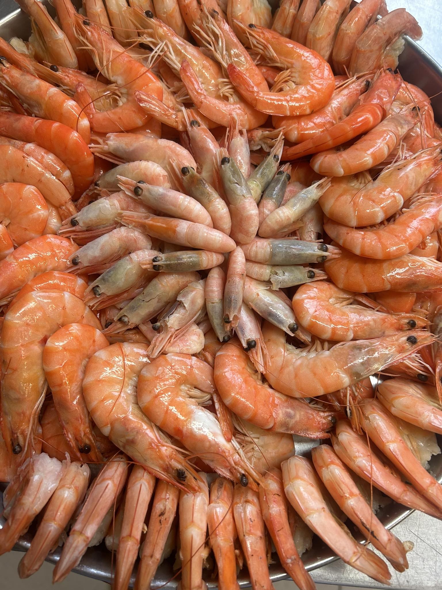 362496217 843002860112182 8320472894664485470 n